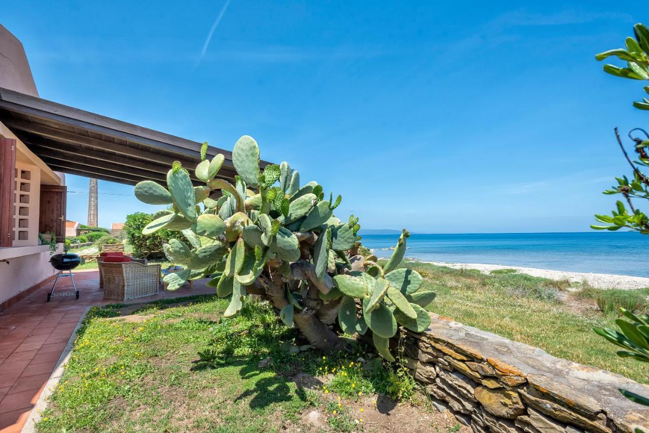 Vila Sardinia Re - Villino Maja Stintino Exteriér fotografie